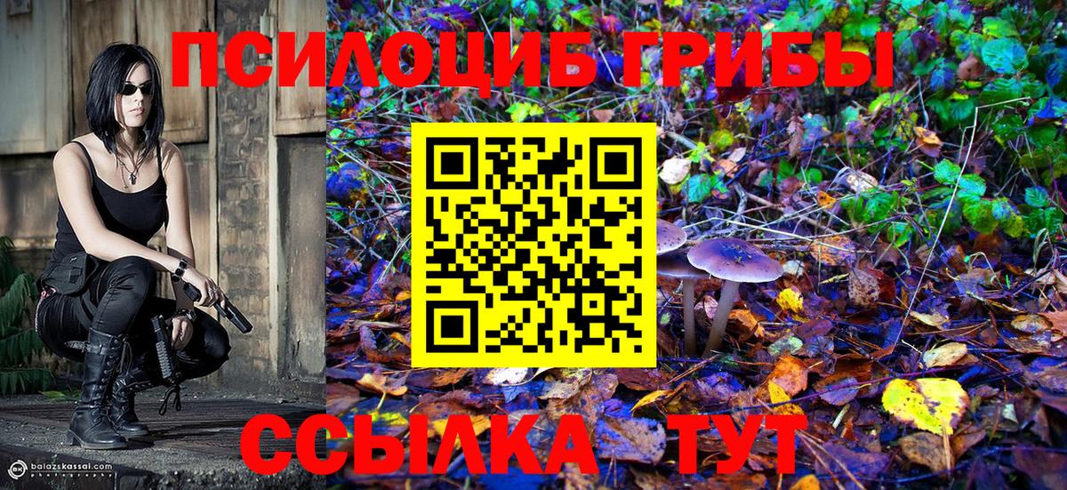 Галлюциногенные грибы GOLDEN TEACHER Волгоград